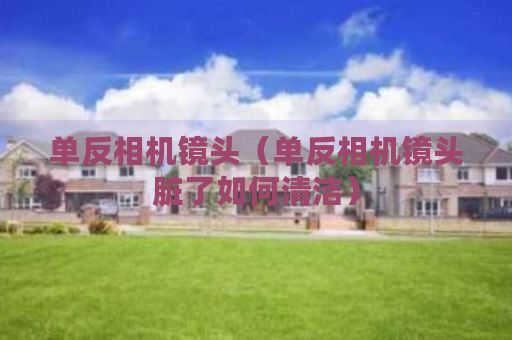單反相機(jī)鏡頭(單反相機(jī)鏡頭臟了如何清潔)